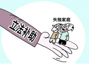 失独家庭是什么意思