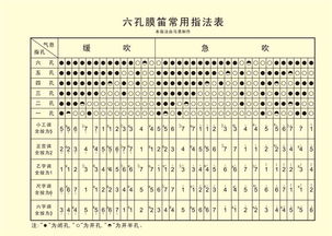 竹笛指法表