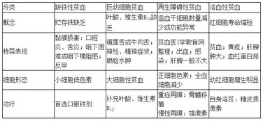 贫血都有哪几种类型