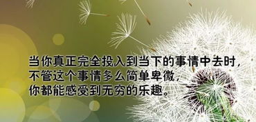 得之坦然,失之淡然,争其必然,顺其自然是什么意思?