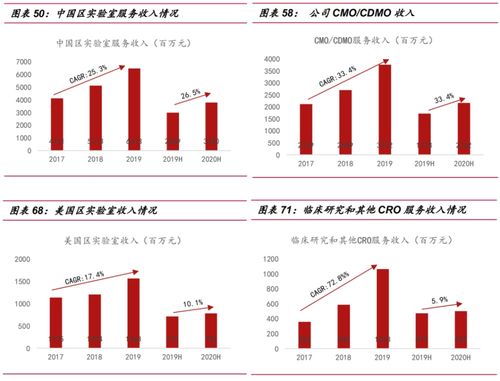 cxo是什么意思?