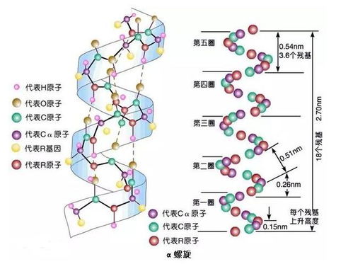 生的结构和部首是什么