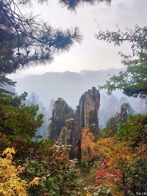 阿凡达在哪里拍摄的张家界取景地