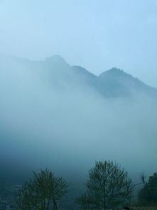 形容雨后早晨空气清新的诗句