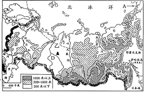 世界上主要火山地震带分布在?