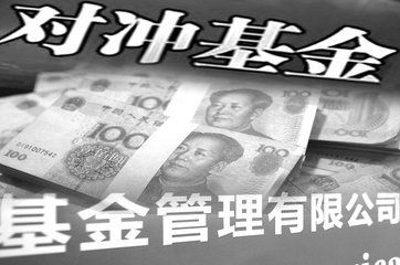 对冲基金是什么意思呢?