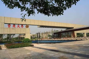 重庆有什么大学