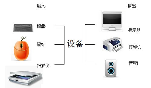 计算机的输入输出设备有哪些?