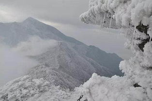 你那里下雪了吗歌词