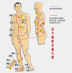 手的结构图和名称是什么?