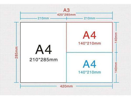 a8大概纸有多大?