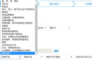 所属行业怎么填写