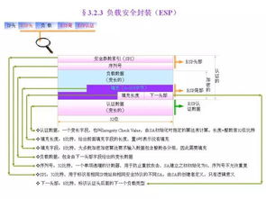 什么是VPN,简单点说