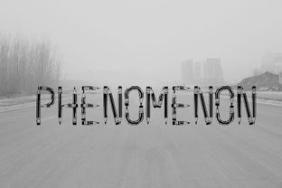 phenomenon可数么