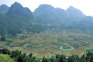 巴马长寿村在广西什么地方