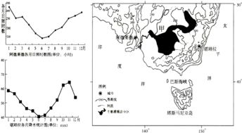 主要表现怎么写?