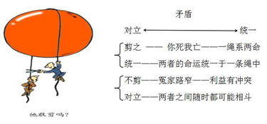 矛盾分析法包括哪些内容