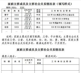 主要社会关系填什么