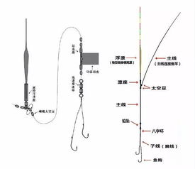 钓鱼线的绑法图解