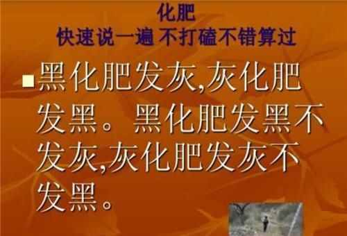 黑化肥绕口令是什么?