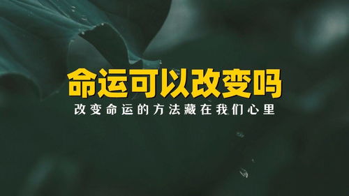 易经改变命运的方法5种方法,改变命运的方法有哪些