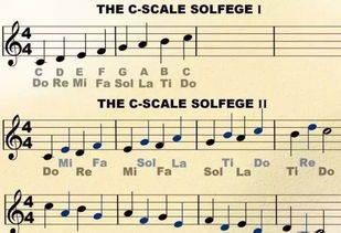初学音乐识谱入门 音乐基础知识入门要了解哪些知识