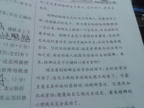 急!!!谁帮我分析分析小学语文阅读题《猴子建筑师》!