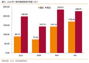 发债是什么意思