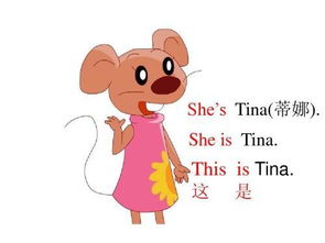 Tina 怎么读