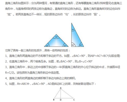 小学三角形的面积怎么算