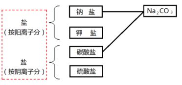 什么是分类法