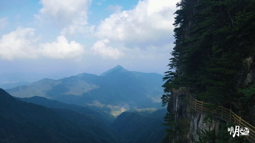 登高壮观天地间 大江茫茫去不还 翻译