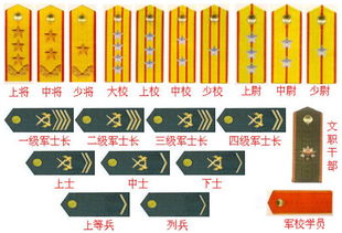 士兵军衔等级和年限是什么?