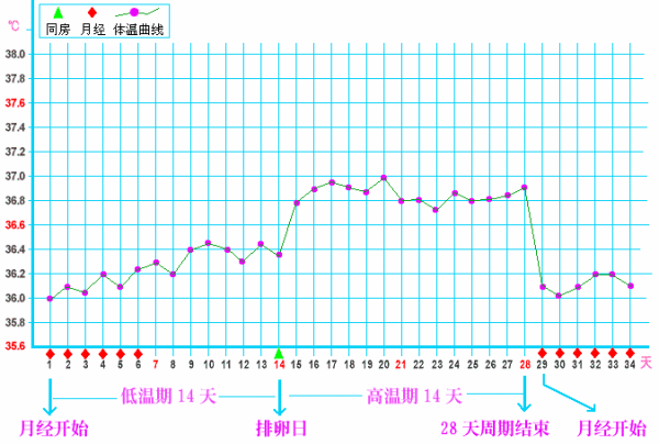 晚上体温高还是早上体温高