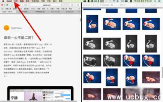 macbook怎么分屏