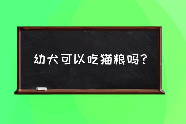 猫粮没了吃什么应急 幼犬可以吃猫粮吗？