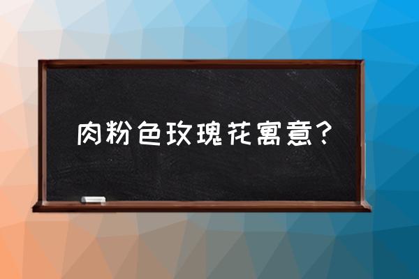 粉色玫瑰适合送哪些人 肉粉色玫瑰花寓意？