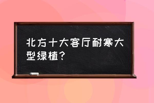 北方适合养什么花耐阴 北方十大客厅耐寒大型绿植？