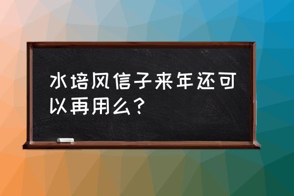 水培风信子从生根到开花需要多久 水培风信子来年还可以再用么？