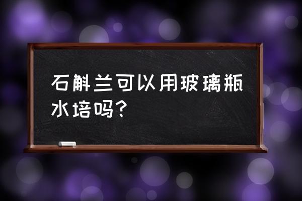 石斛兰专用水培盆 石斛兰可以用玻璃瓶水培吗？