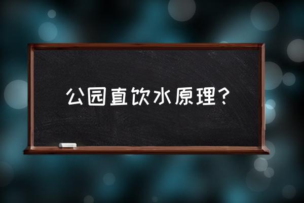 直饮水净化设备原理图 公园直饮水原理？