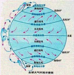 地球上的风带有哪几个?