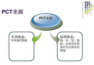 降钙素的作用机制，降钙素的作用与功效