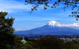 《富士山下》国语版叫什么?