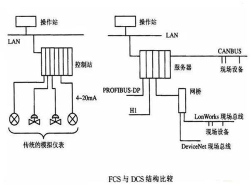 外贸中,FCS、bulk cargos、LCL、groupage是什么意思