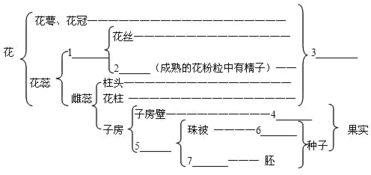 坐的结构是镶嵌，华的结构部首