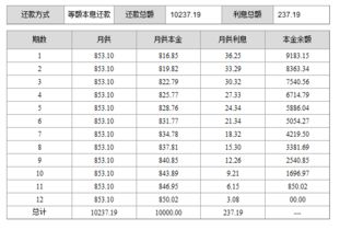 本息还款和本金还款的区别，本息怎么算