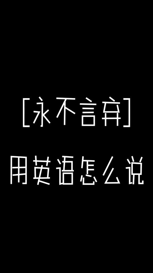 永不言弃英文翻译，永不言弃英文歌曲