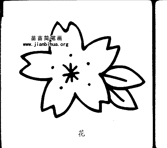 花简笔画大全