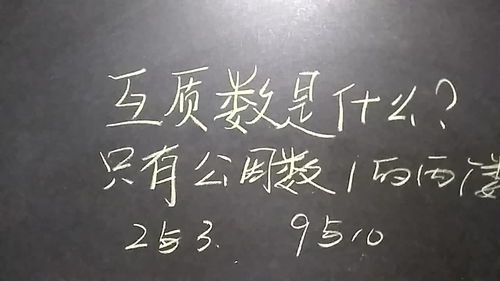 互质数的概念有什么意义，互质数的概念是什么时候学的